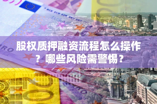武汉股权质押融资流程怎么操作？哪些风险需警惕？