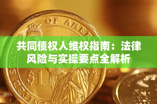 武汉共同债权人维权指南：法律风险与实操要点全解析
