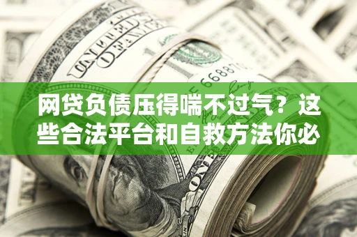 武汉网贷负债压得喘不过气？这些合法平台和自救方法你必须知道！