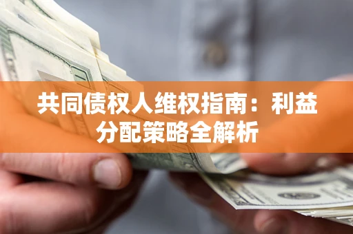 武汉共同债权人维权指南：利益分配策略全解析