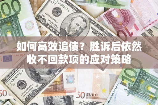 武汉如何高效追债？胜诉后依然收不回款项的应对策略