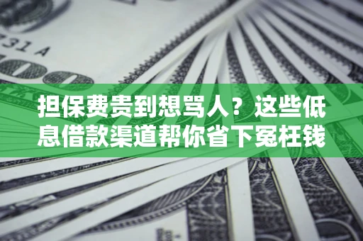 武汉担保费贵到想骂人？这些低息借款渠道帮你省下冤枉钱