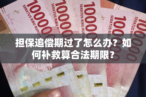 武汉担保追偿期过了怎么办？如何补救算合法期限？