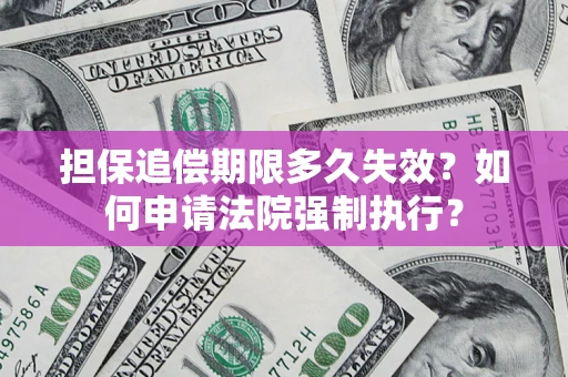 武汉担保追偿期限多久失效？如何申请法院强制执行？
