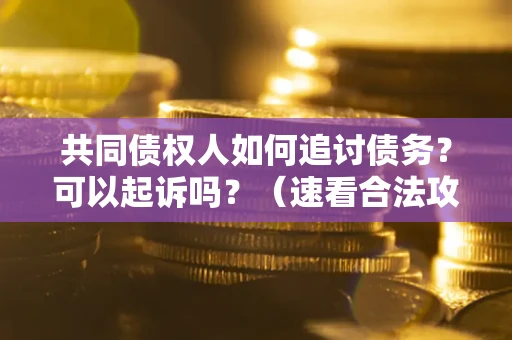 武汉共同债权人如何追讨债务？可以起诉吗？（速看合法攻略）
