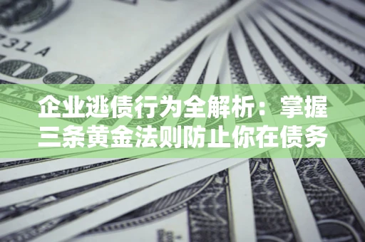 武汉企业逃债行为全解析：掌握三条黄金法则防止你在债务乱局中“踩雷”