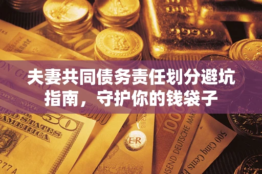 武汉夫妻共同债务责任划分避坑指南，守护你的钱袋子