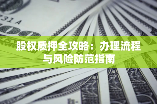 武汉股权质押全攻略：办理流程与风险防范指南