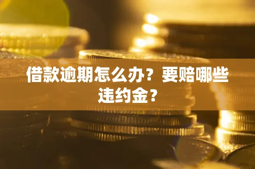 武汉借款逾期怎么办？要赔哪些违约金？